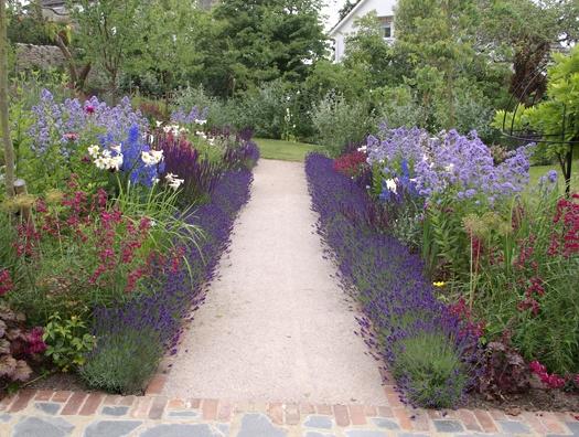 Flower Beds in the Cottage: Which to Choose?
