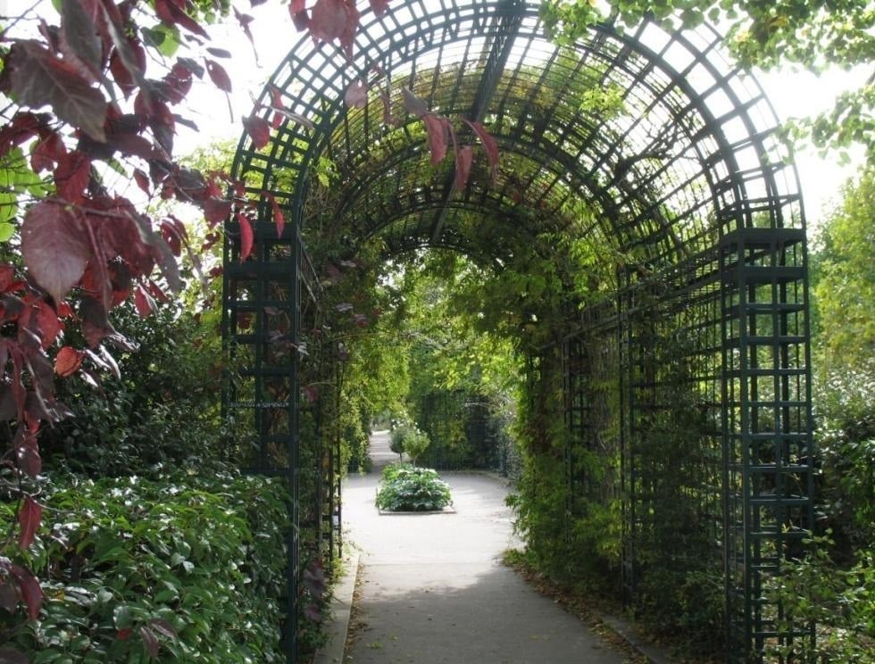 Beautiful and Functional Garden Arches