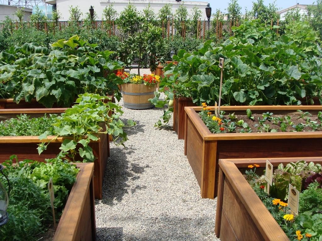 Warm Garden for Vegetables With Their Hands