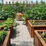 Warm Garden for Vegetables With Their Hands