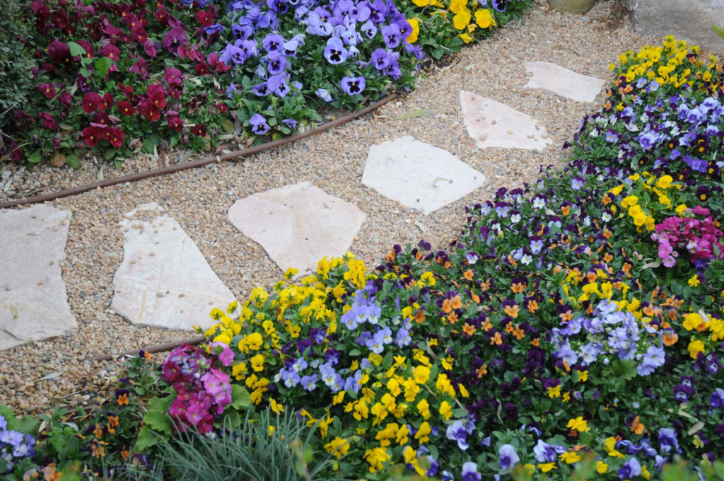Paths in Your Garden
