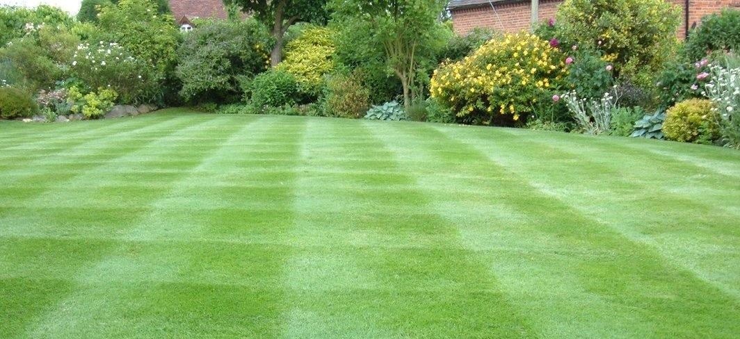 Five of the Most Relevant Tips for Lawn Care