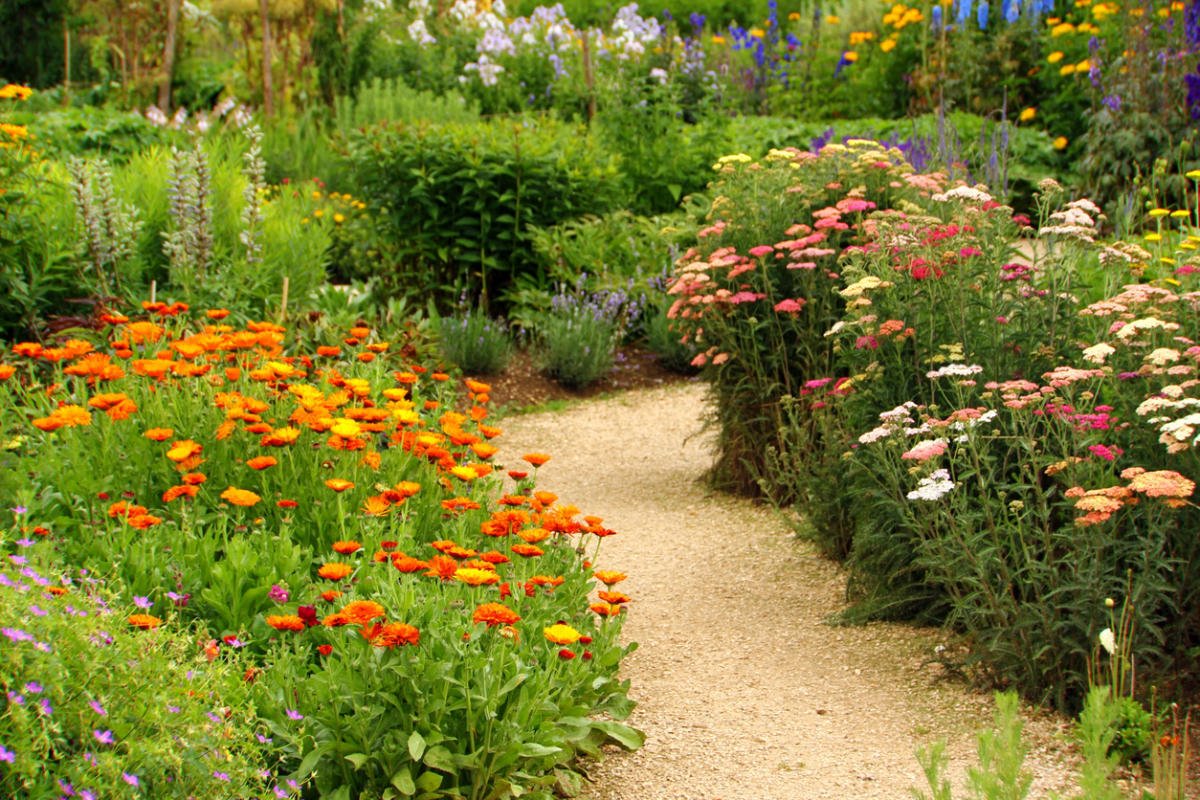 Paths in Your Garden