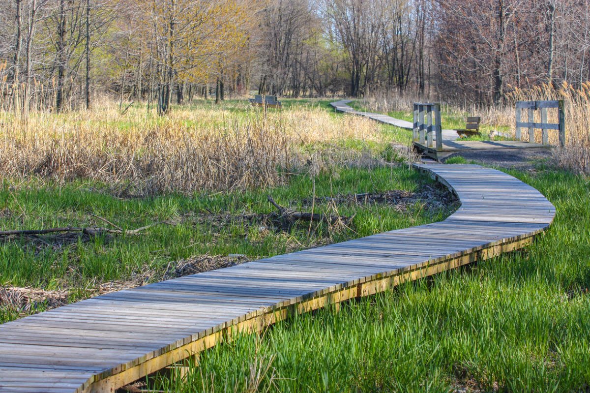 Paths in Your Garden