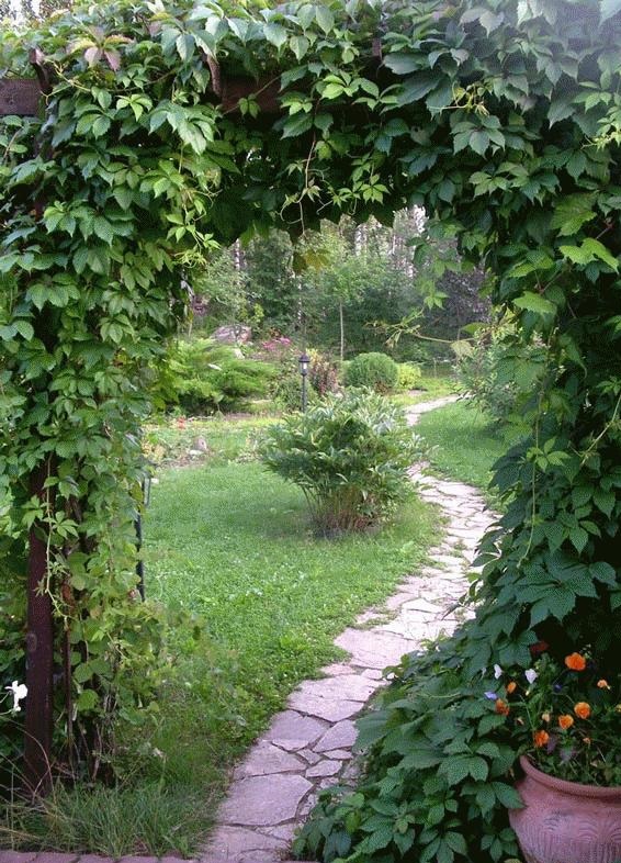 Beautiful and Functional Garden Arches