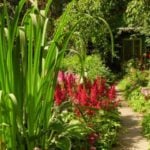 The Red Color in the Garden. The Main Thing – Do Not Overdo It.