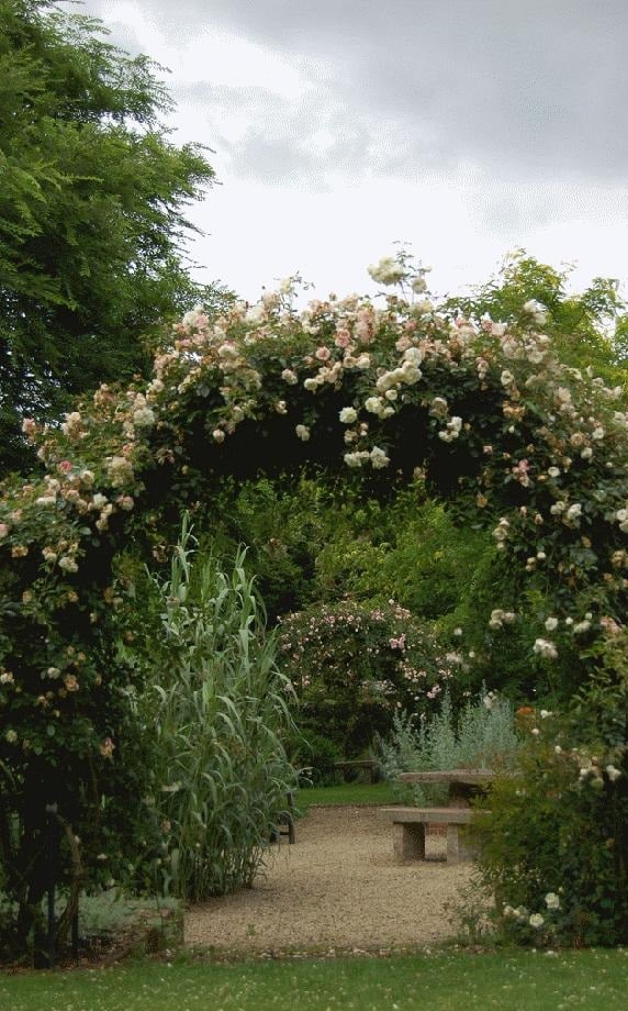 Beautiful and Functional Garden Arches