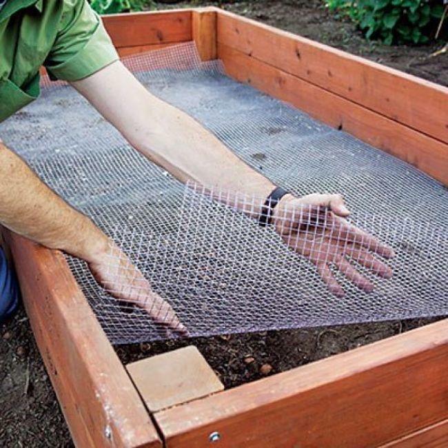 Warm Garden for Vegetables With Their Hands