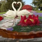 The Most Unusual Ideas for Garden Flower Beds