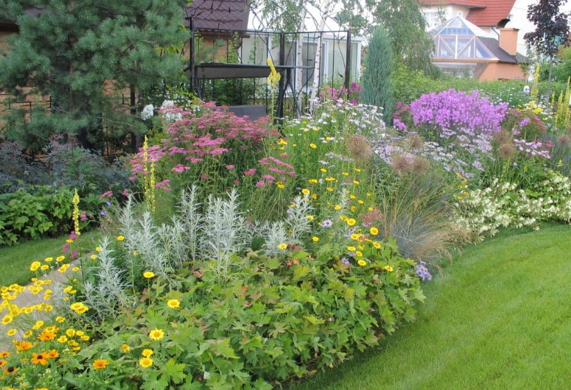 Phlox in Garden Design: the Possibility of Using