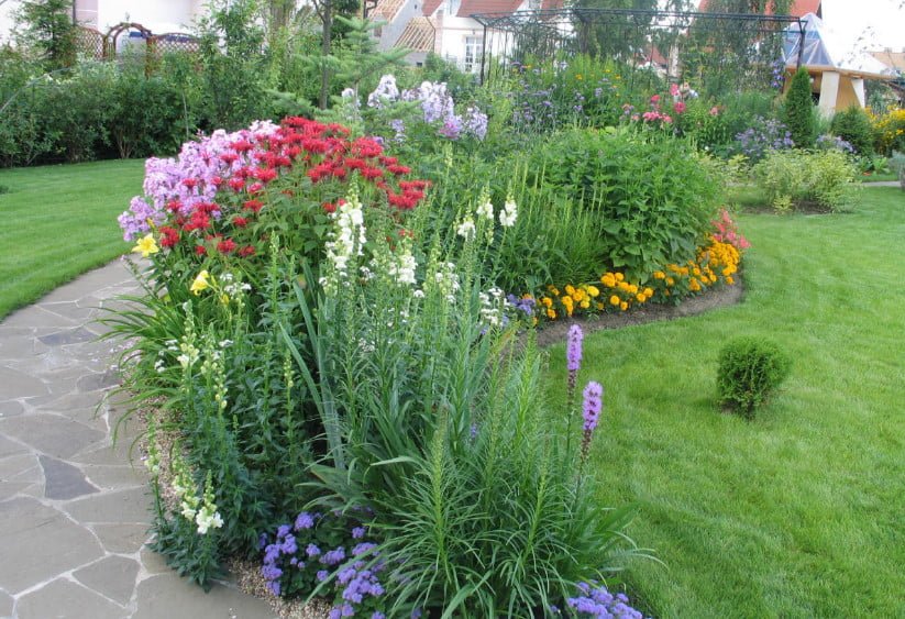 Phlox in Garden Design: the Possibility of Using