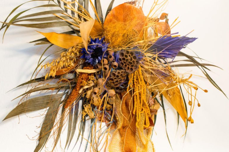 Dried Flowers Names and Photos, Descriptions of Species and Varieties