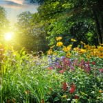 Plant Invaders in the Garden: Fighting Strategy