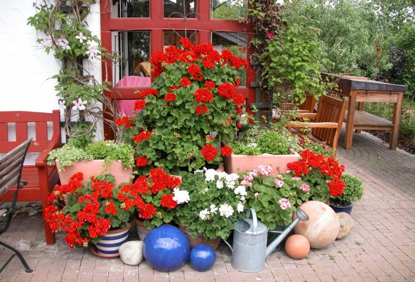 The Red Color in the Garden. The Main Thing - Do Not Overdo It.