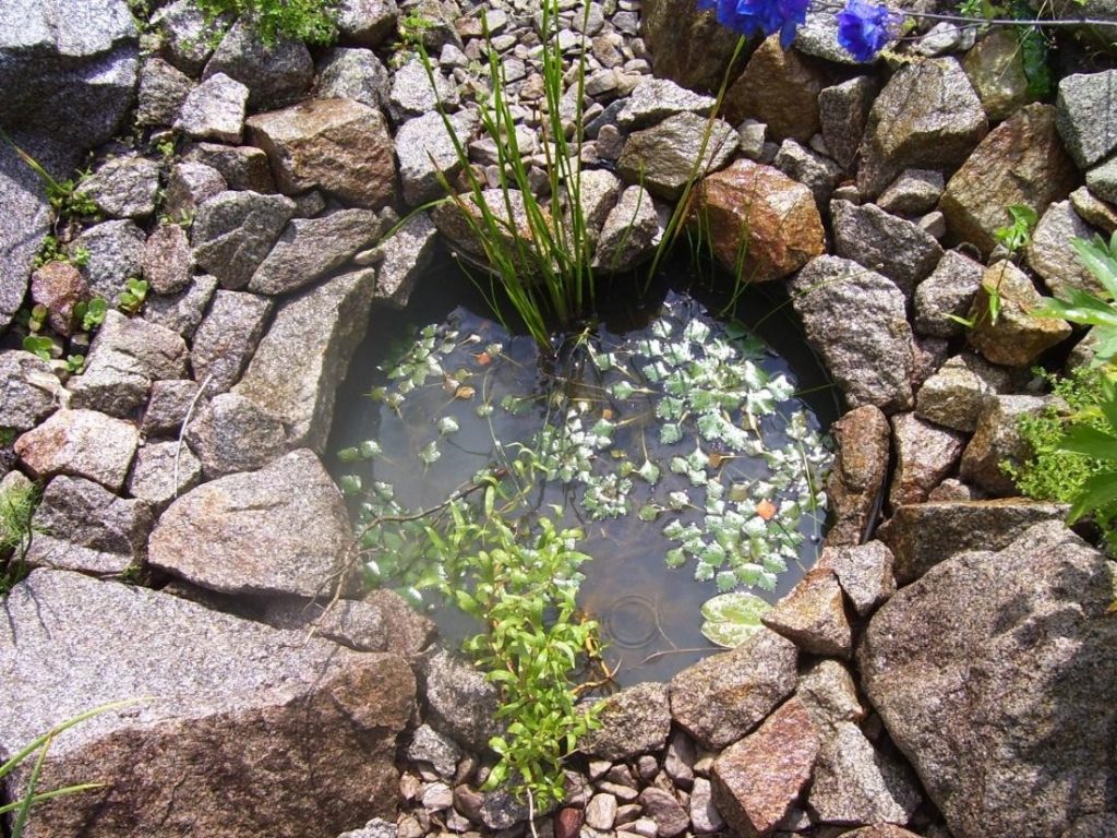 Body of Water: Drainage of Excess Water