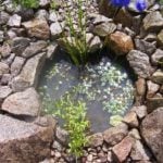 Body of Water: Drainage of Excess Water