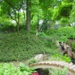 Top 10 Trends in Gardening