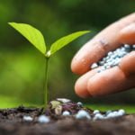 What is Superphosphate and How to Use It