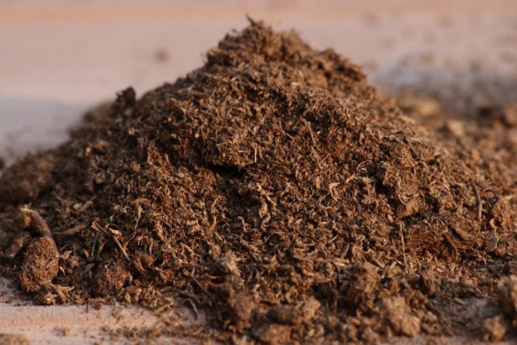 Features of the Use of Peat as Fertilizer