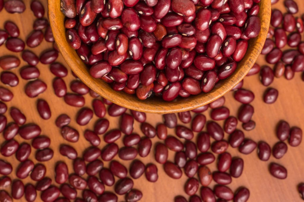 Growing Phaseolus: Planting, Care, Fertilizing and Harvesting