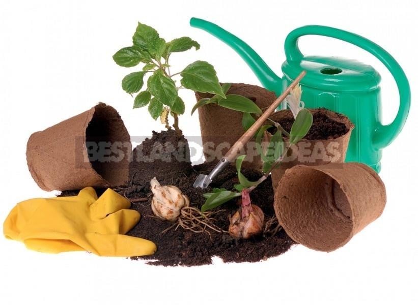 Features of the Use of Peat as Fertilizer