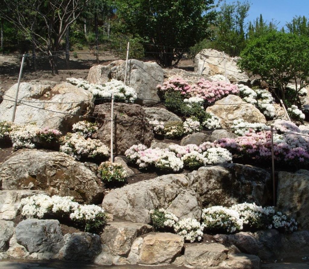 Rockery: the Choice of Location