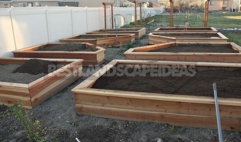 How to Create a Raised Kitchen Garden with Your Hands