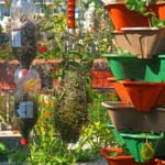 Top 10 Ideas of Vertical Garden Bed