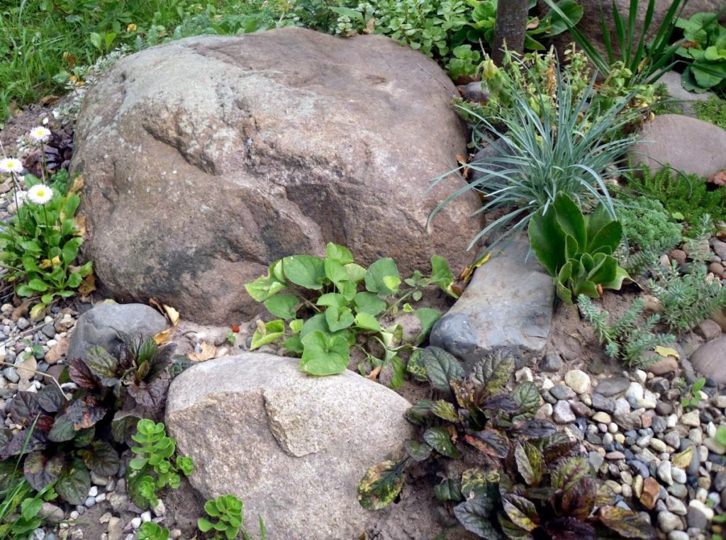 Rockery: 3 Major Rules