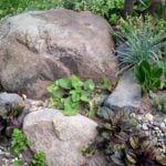 Rockery: 3 Major Rules