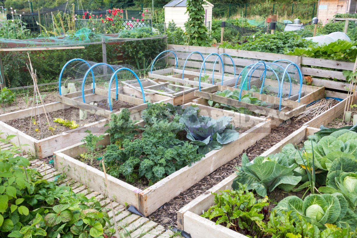 How to Create a Raised Kitchen Garden with Your Hands
