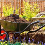 Compost: How to Turn Harm Into Benefit