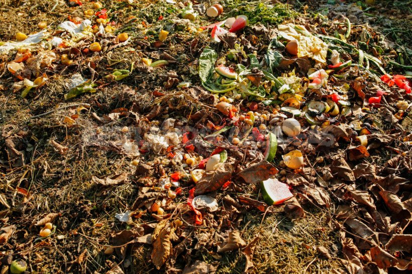 Compost: How to Turn Harm Into Benefit