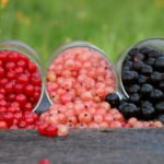 Currants: Types and Varieties, Peculiarities of Cultivation