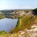 Cretaceous Plants in Nature and their Cultivation in the Garden (Part 1)