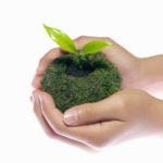 Kokedama-Moss Ball: Growing Plants Without Pots