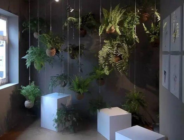 KokedamaMoss Ball Growing Plants Without Pots Best Landscape Ideas