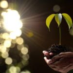 Contribution of Horticulture to the Improvement of Ecology on the Planet