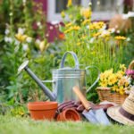Why do I Need a Cottage: Arguments in Favor of a Country Lifestyle
