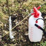 Iron Sulfate: Use in the Garden