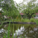 Pond in the Garden: Choose Materials and Equipment (Part 1)