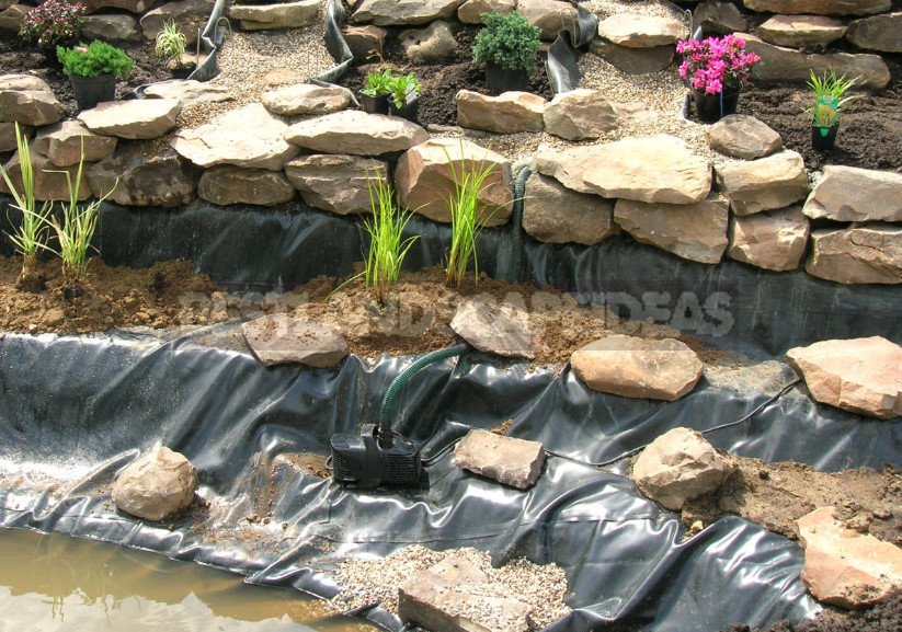 Pond in the Garden: Choose Materials and Equipment (Part 2)