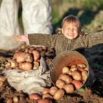 Potato Diet: How Andrew Taylor Lost Weight