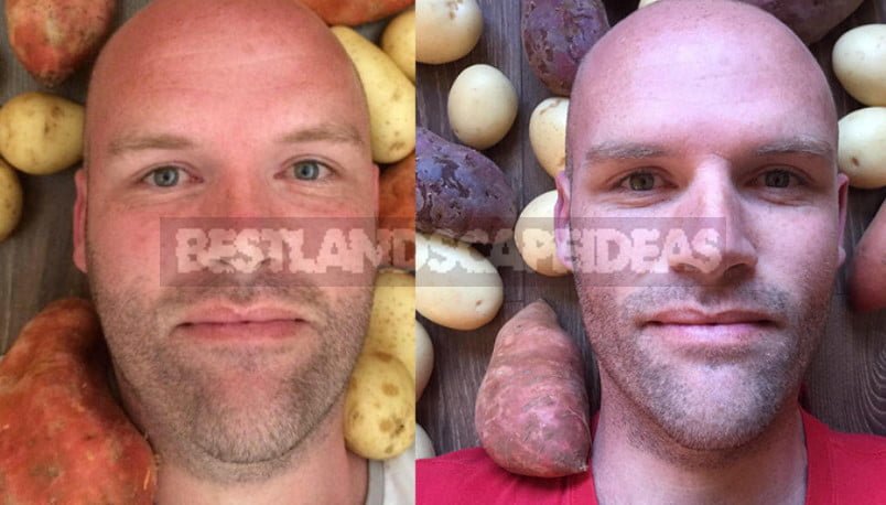 Potato Diet: How Andrew Taylor Lost Weight