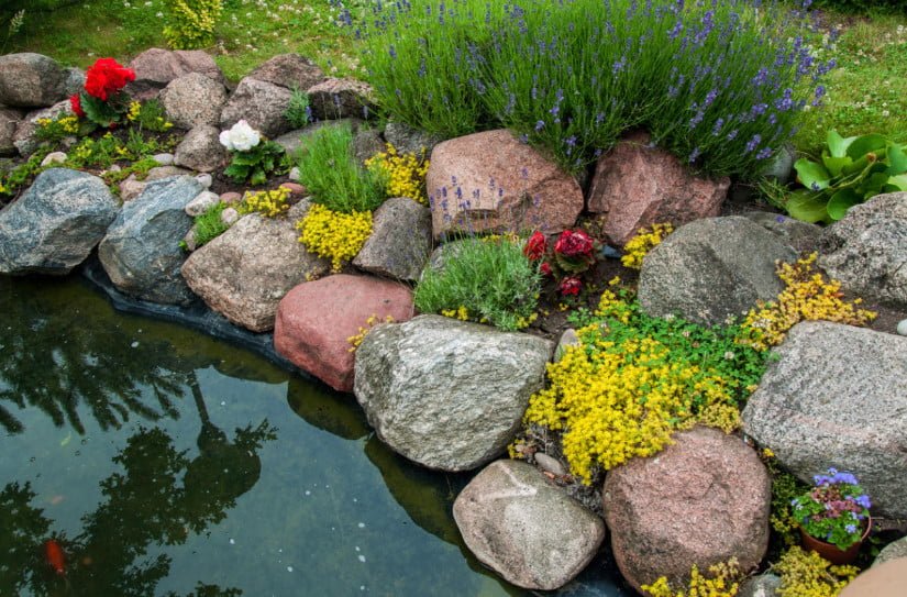 Pond in the Garden: Typical Mistakes of Amateurs (Part 2)