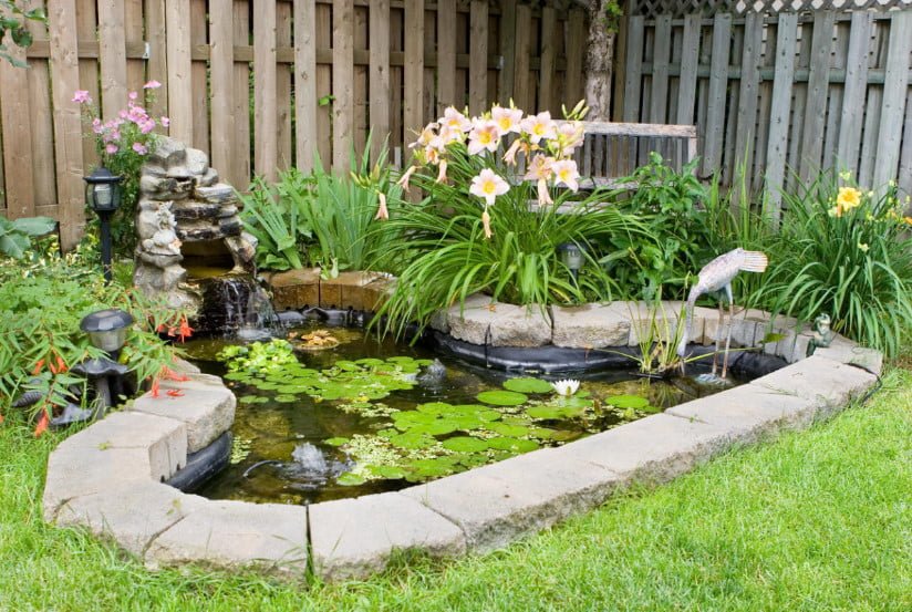 Pond in the Garden: Typical Mistakes of Amateurs (Part 1)