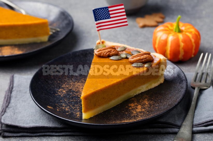 American Pumpkin Festivals: Pumpkin Traditions