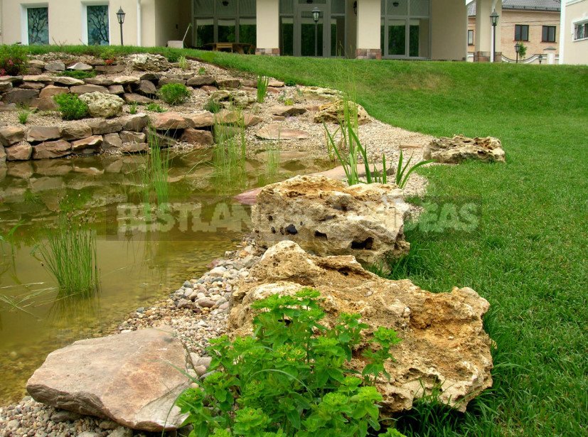 Step-by-Step Technology of Landscape Pond Arrangement on the Site (Part 2)
