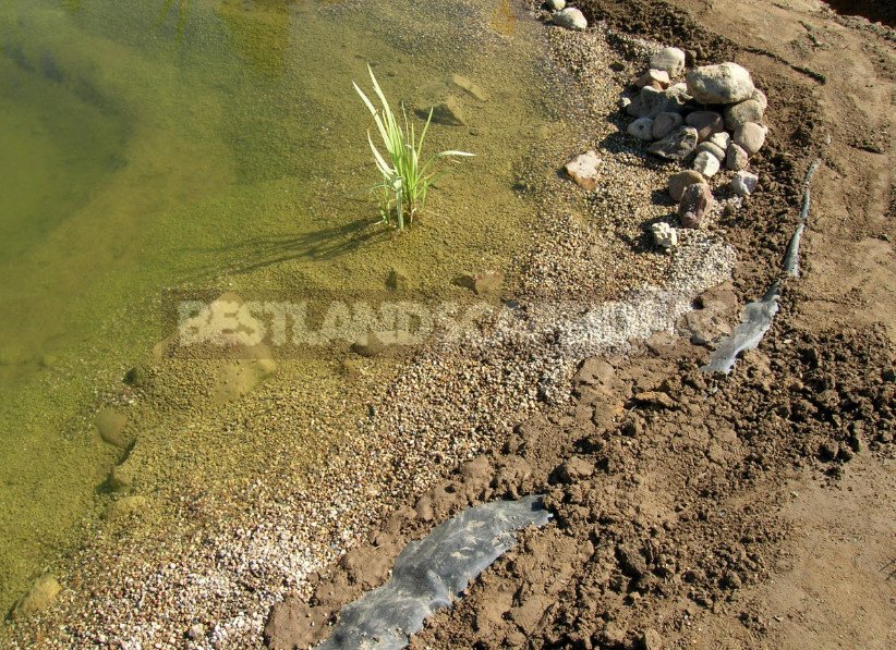 Step-by-Step Technology of Landscape Pond Arrangement on the Site (Part 2)