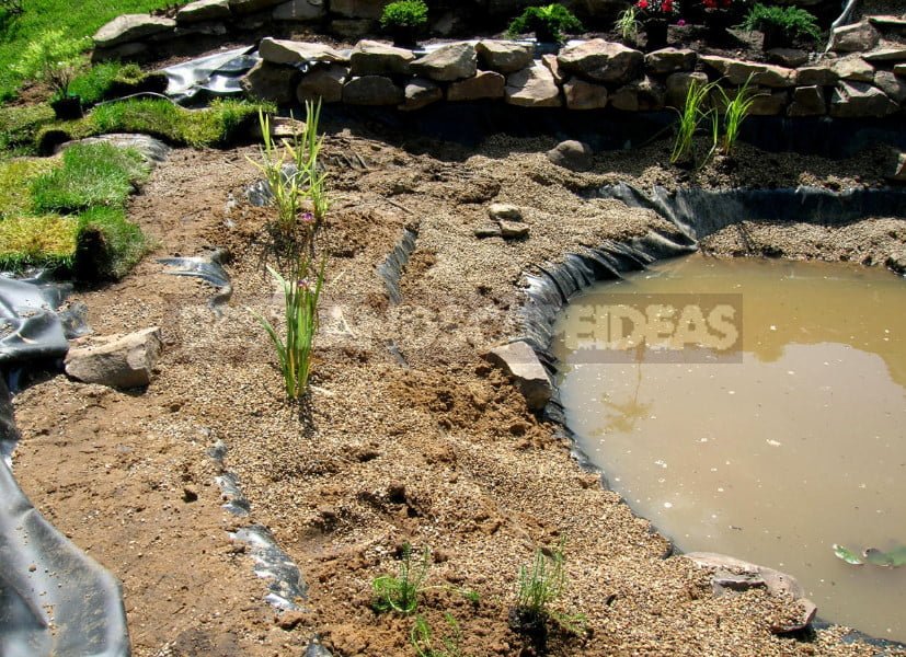 Step-by-Step Technology of Landscape Pond Arrangement on the Site (Part 1)